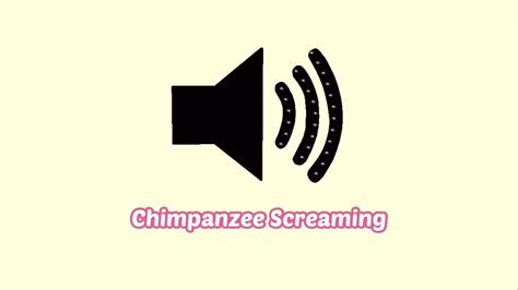 Monkey Screaming Sound Effect (Chimpanzee) - YouTube