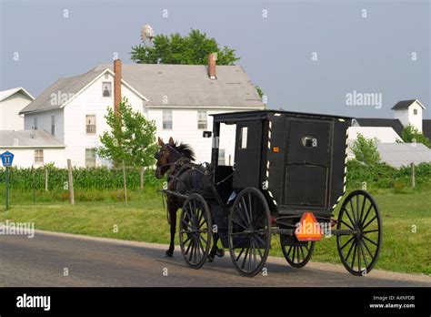 Amish buggy ride hi-res stock photography and images - Alamy