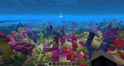 Coral rev so beutiful : r/Minecraft