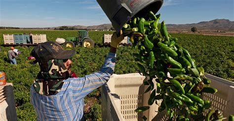 The Sriracha Shortage Is a Very Bad Sign - The Atlantic