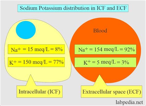 Urine Sodium (Na+), Spot test, 24-Hour Urine Sodium - Labpedia.net