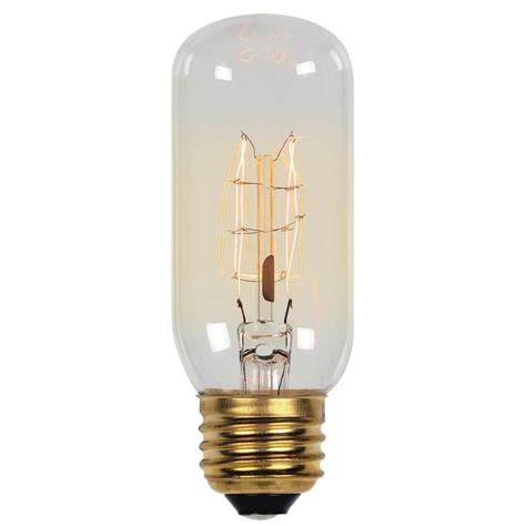 Westinghouse 60-Watt Timeless Vintage Inspired Incandescent T12 Light Bulb-0412900 - The Home Depot