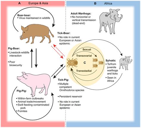 swine flu vaccine side effects