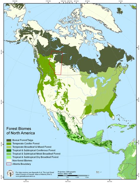 Forest Biomes of North America | Forest resources, Biomes, Forest landscape