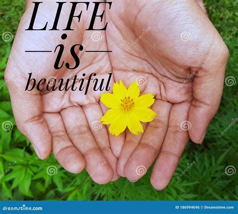 Motivational Quotes about Life and Nature Stock Photo - Image of flower ...