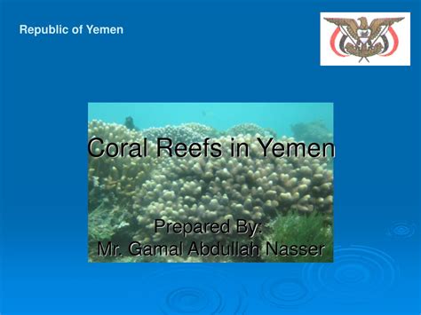 PPT - Republic of Yemen PowerPoint Presentation, free download - ID:1091255