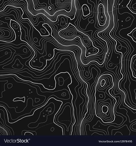 Topographic map background with space for copy vector image on VectorStock | Topographic map ...