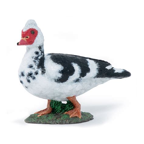 Papo Domestic Muscovy Duck – Animal Kingdoms Toy Store