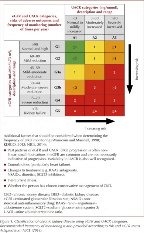 Testing for kidney disease in type 2 diabetes: consensus statement and recommendations ...