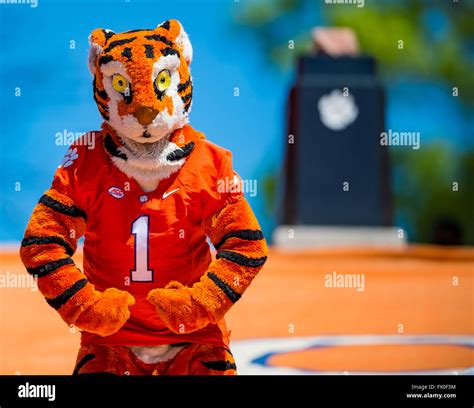 The Clemson Tiger Mascot during the Clemson Football Spring Game ...