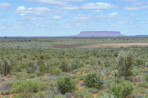 Semi-arid ecosystems help reduce CO2 emissions - successful GREEN