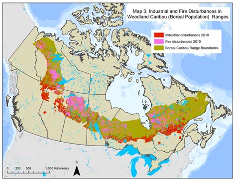 Caribou (Rangifer tarandus) specific populations: COSEWIC assessment ...