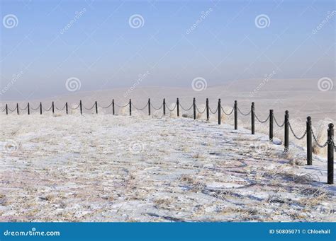 Grassland in winter stock image. Image of blower, manchuria - 50805071