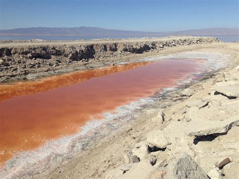 Crisis looming at the Salton Sea | Audubon California