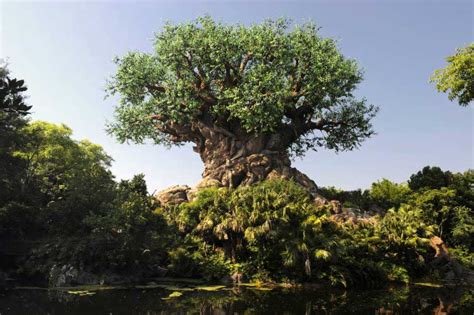 dak-tree-of-life | The Disney Blog