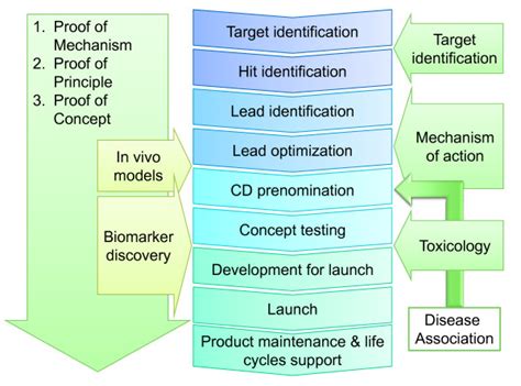 Biomarkers within the Drug Development Process. | Download Scientific Diagram