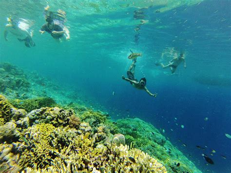 Bali Snorkeling Trip To Menjangan Islan