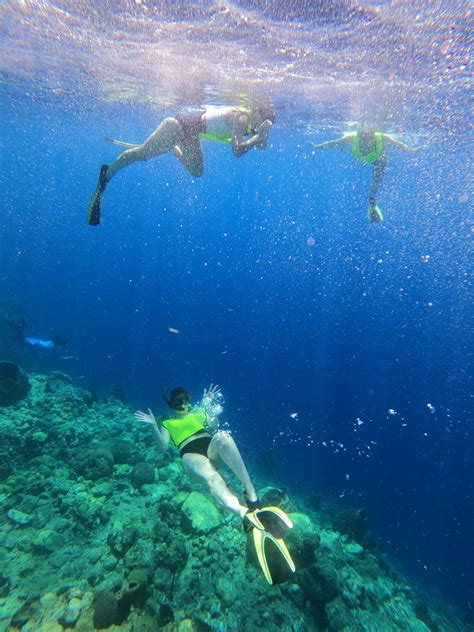 The best snorkeling in Dominica | OutsiderView