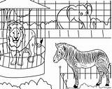 Printable Zoo Animals Coloring Page  Free Pages For sketch template