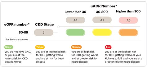 Stage 2 Chronic Kidney Disease (CKD) | National Kidney Foundation