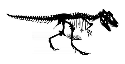 Tyrannosaurus Rex skeleton Silhouette vector side view 2524648 Vector ...