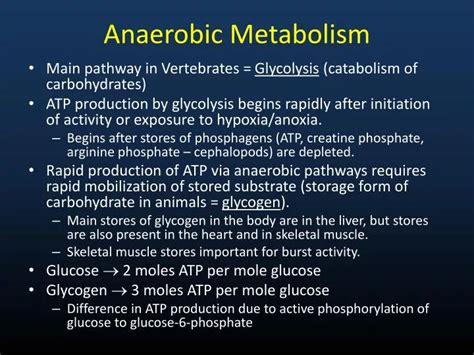 PPT - Anaerobic Metabolism PowerPoint Presentation, free download - ID ...