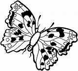 Schmetterling Ausmalbilder Colorat Fluturi Borboletas Monarch Mariposa  sketch template
