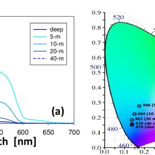 (PDF) Secchi disk depth: A new theory and mechanistic model for ...