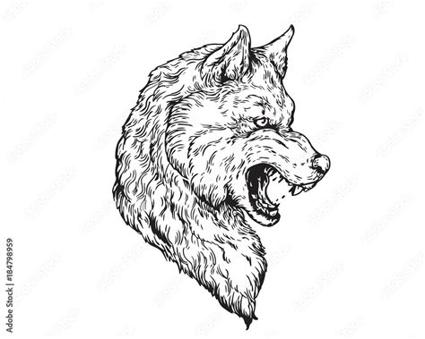 Detail Realistic Hand Drawing Angry Wolf Head Illustration Stock Vector ...