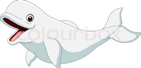 Vector illustration of Cartoon beluga ... | Stock vector | Colourbox