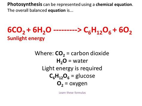 Which Is The Correct Chemical Equation For Photosynthesis Brainly ...