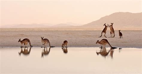 Our People | The Nature Conservancy Australia