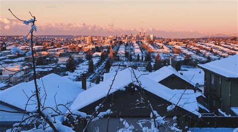 21 photos of a magical snow-covered Vancouver morning | Lifestyle