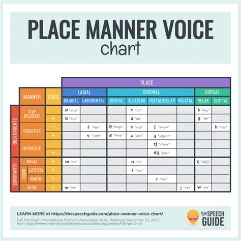 Place, Manner, and Voicing in Speech | The Speech Guide