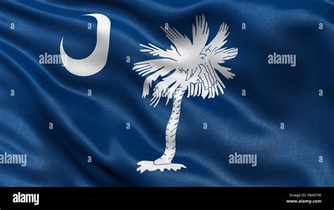 US state flag of South Carolina Stock Photo - Alamy