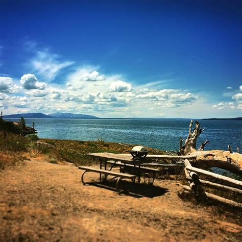 The Best Picnic Spots in Yellowstone National Park