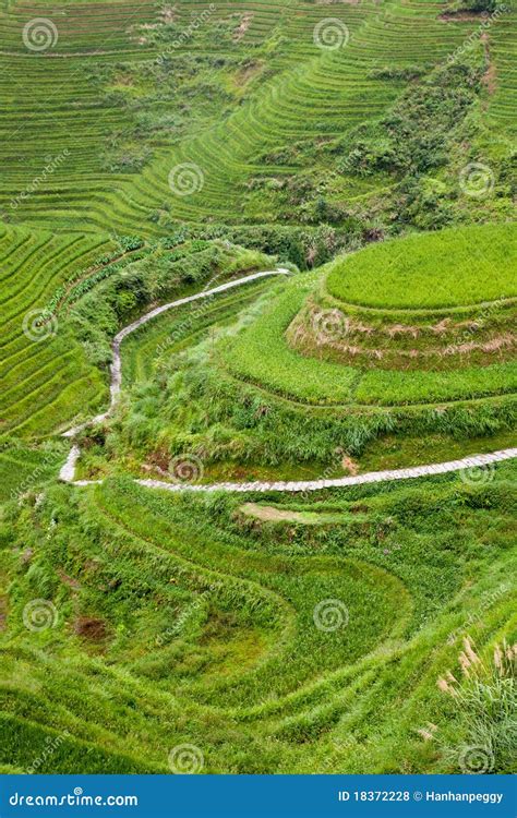 China rural landscape stock photo. Image of asia, land - 18372228