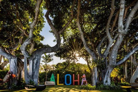 Wailea Beach Resort | - Venue Report