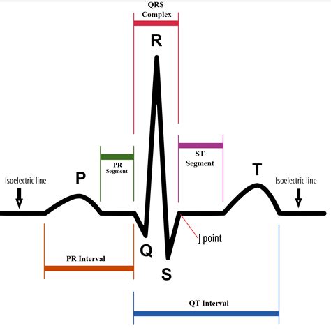 ECG Essentials – Health Education Collaborative