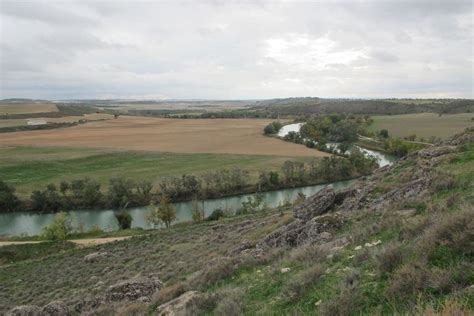 Roman history in Spain: The search for Hannibal’s elephants on the Tagus River | Culture | EL ...