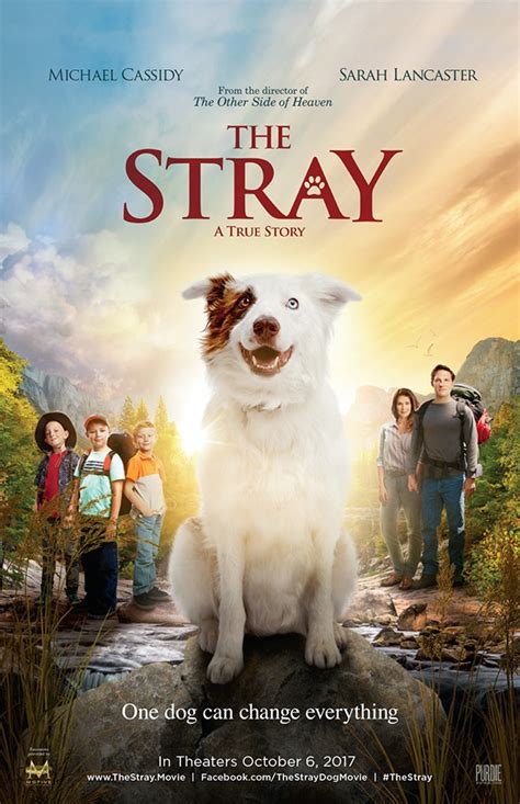 The Stray-Podcast: The Movie - Pet Radio Magazine