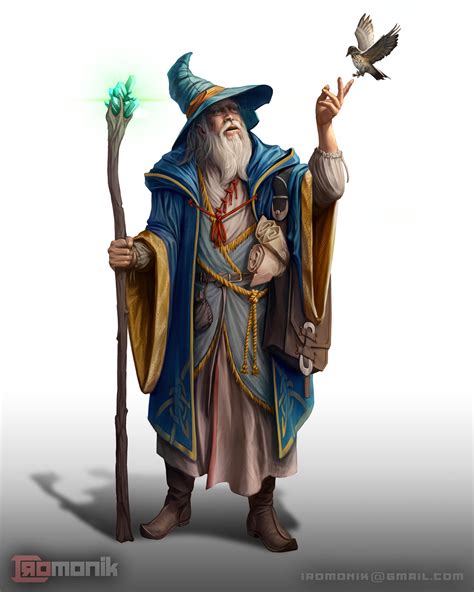 [ART] Human Wizard Character art : r/DnD