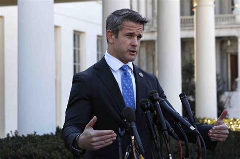 Kinzinger slapped with censure by Illinois county GOP - POLITICO