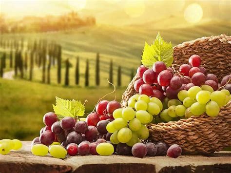 Green vs. Red Grapes: 5 Key Differences and 10 Health Benefits 2024