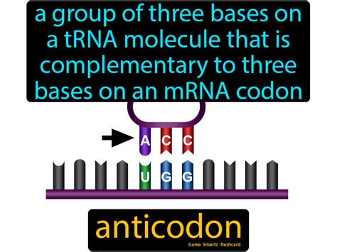 Anticodon - Easy Science | Science memes, Science facts, Science student