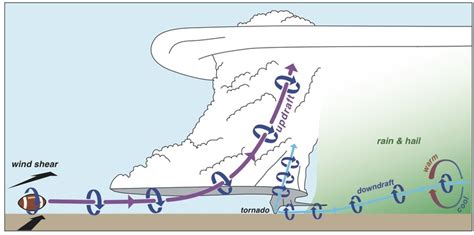 Formation Of Tornadoes Diagram