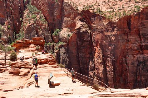 Canyon Overlook Trail: Zion's Best Short Hike | Simply Wander | National parks trip, Travel ...