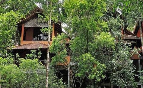 Wayanad Tree House Stay Experience