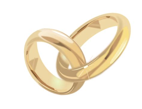 Wedding Rings Marriage · Free vector graphic on Pixabay