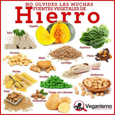 Fuentes de hierro en la dieta vegana y vegetariana – Infografías. Nutrición vegana, alimentación ...